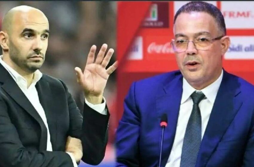  عاجل : وليد الركراكي يقدم استقالته من تدريب المنتخب الوطني المغربي وفوزي لقجع يدخل على الخط